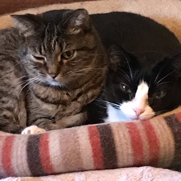 THANK YOU FOR SHOPPING ON POSHMARK! - Picture 9 of 13